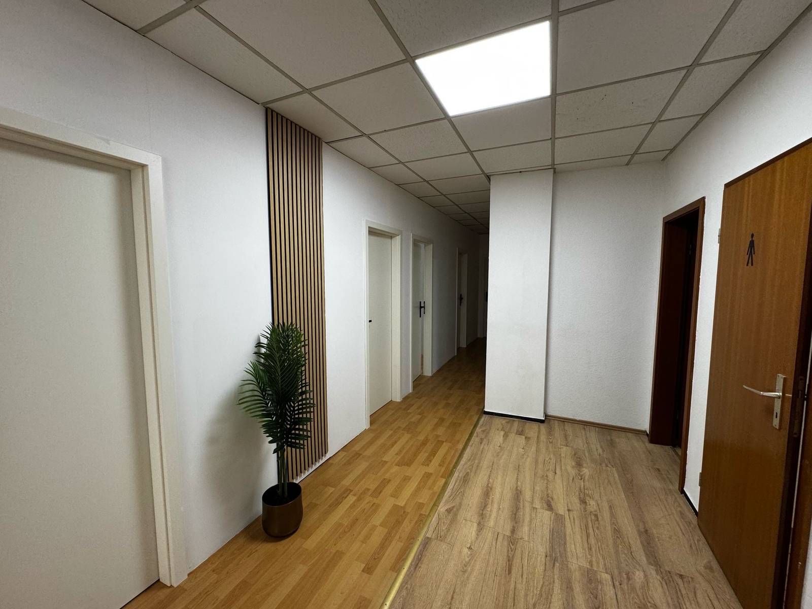 Flur mit mehreren Türen, Holzlamellen und Zimmerpflanze in der Monteurwohnung in Dreieich